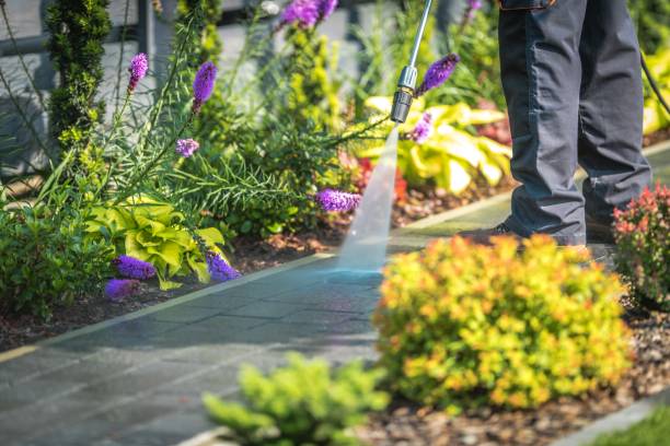 Best Dumpster Area Cleaning  in Forestville, CA