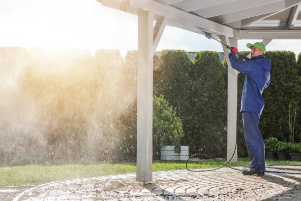 Best Paint Preparation  in Forestville, CA