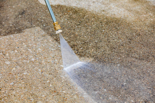Best Roof Washing  in Forestville, CA