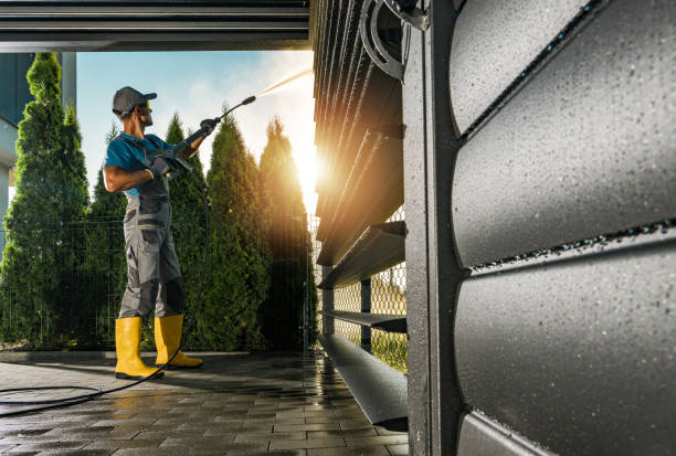 Best Graffiti Removal  in Forestville, CA