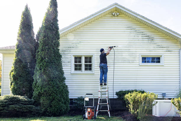 Best Driveway Pressure Washing  in Forestville, CA